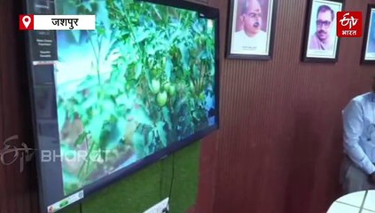 सीएम साय ने बहाई विकास की त्रिवेणी, तहसील और स्मार्ट स्कूल के साथ जशपुर में एग्री-हॉर्टी एक्सपो का हुआ शुभारंभ