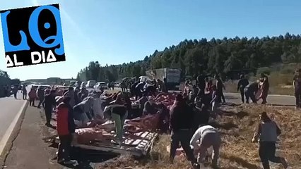 VOLCÓ UN CAMIÓN DE CARNE EN #ARGENTINA CONCORDIA Y LO SAQUEARON