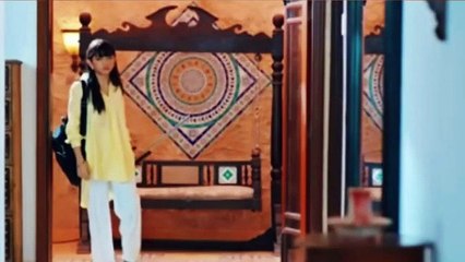 Sher Episode 13 - Epi 13 3rd Review - Sher - Danish Taimoor - Sarah Khan - 28 Jun 2025 - ARY Digital(360P)