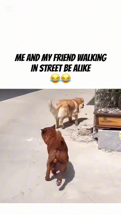 me and my friend