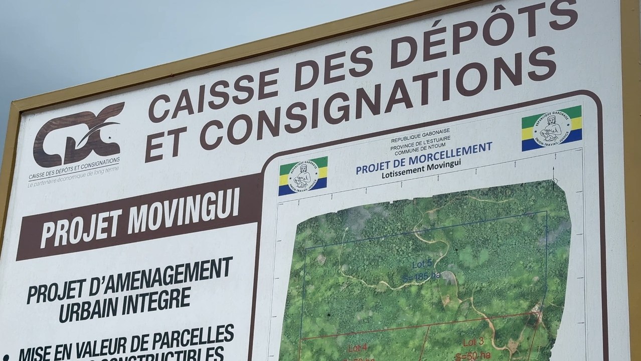 [#Reportage] Projet Movingui-Okolassi : quand la CDC tourne le dos à l’accès au foncier pour tous