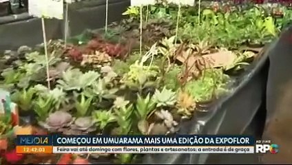 FEIRA DE ARTESANATO DOS 70 ANOS DE UMUARAMA