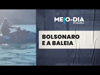 PF conclui inquérito e não indicia Bolsonaro por importunação à baleia