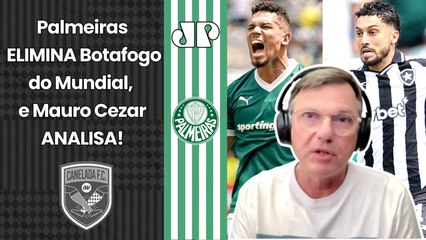 "FOI INQUESTIONÁVEL! O Palmeiras MERECEU PASSAR, o Botafogo SE ACOVARDOU e..." Mauro Cezar ANALISA!