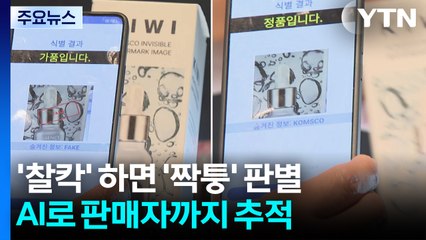 '찰칵' 하면 '짝퉁' 판별...AI로 판매자까지 추적한다 / YTN