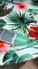 Vídeo mostra  descoberta de "casa bomba” com mais de 17 mil porções de drogas