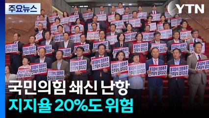 '20%'도 무너질라...'극소수 야당' 생존 전략은? / YTN