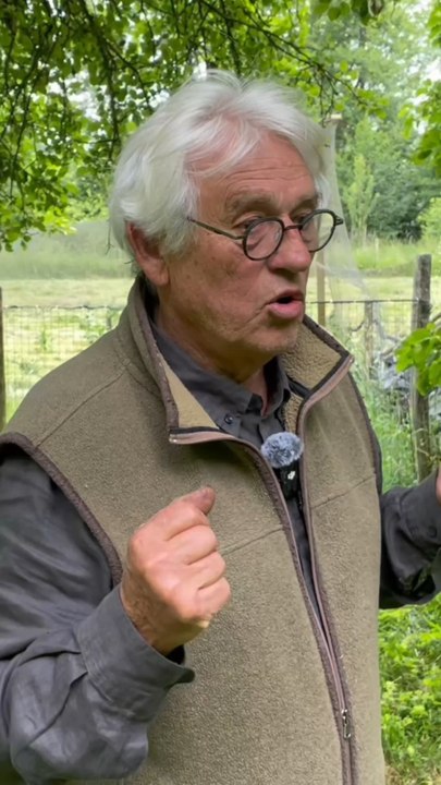 Entretien avec Michel AUDUREAU sur le comportement des coqs et des poules 🤩🐔