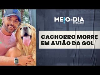 Cachorro morre depois de ser embarcado por engano pela GOL