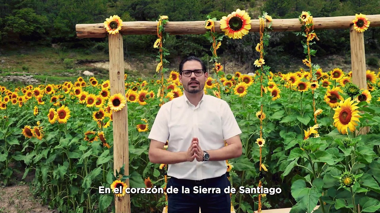 David de la Peña invita a disfrutar campos de girasoles y productos locales en Santiago