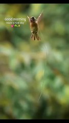 3f5eb46e97d94e9e83327471bc9ab79b