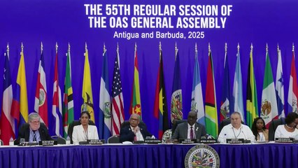 La OEA insta a apoyar la misión de seguridad en Haití