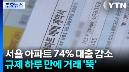 "서울 아파트 74%, 18개 구 대출 감소 타격" / YTN