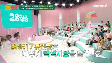 식욕 억제에 도움이 된다고? 체중 감량에 도움 줄 수 있는 BNR17 유산균