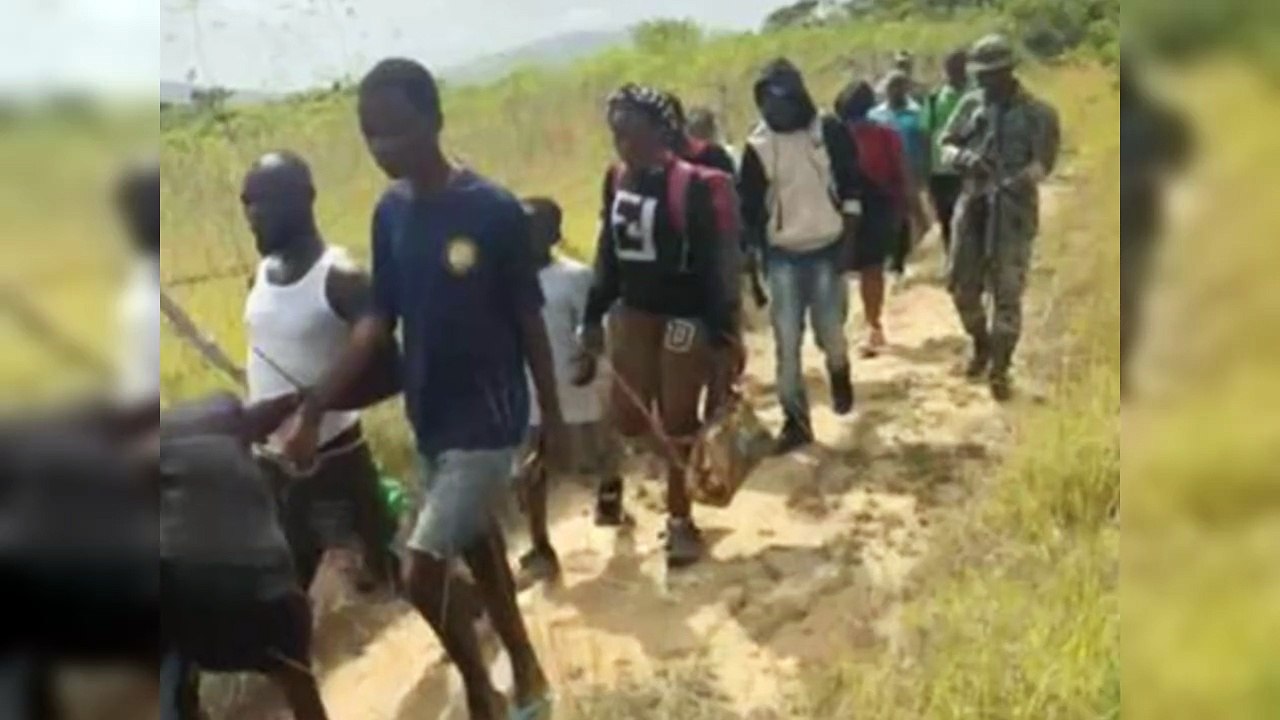 Ejército apresa a 15 haitianos indocumentados y a dominicano