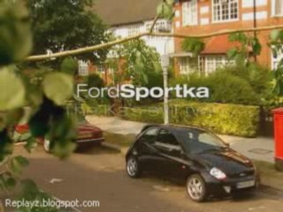 Sportka Bird