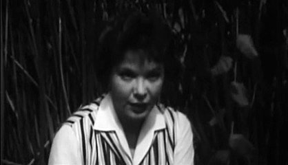 🧟‍♂️ Attack of the Giant Leeches (1959) Full Movie | Mutant Horror from the Swamps! 🧪🦠💥