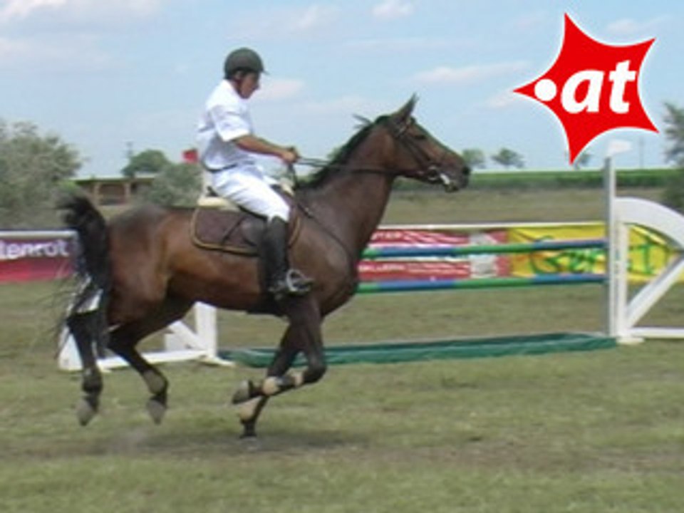 Peredi Szabolcs, Springreiten, Burgenland (2007-054)