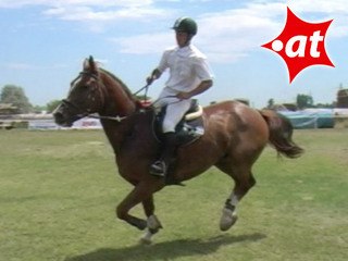 Vlado Brozman, Springreiten, Burgenland (2007-057)