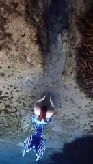 The mermaid is no longer the same