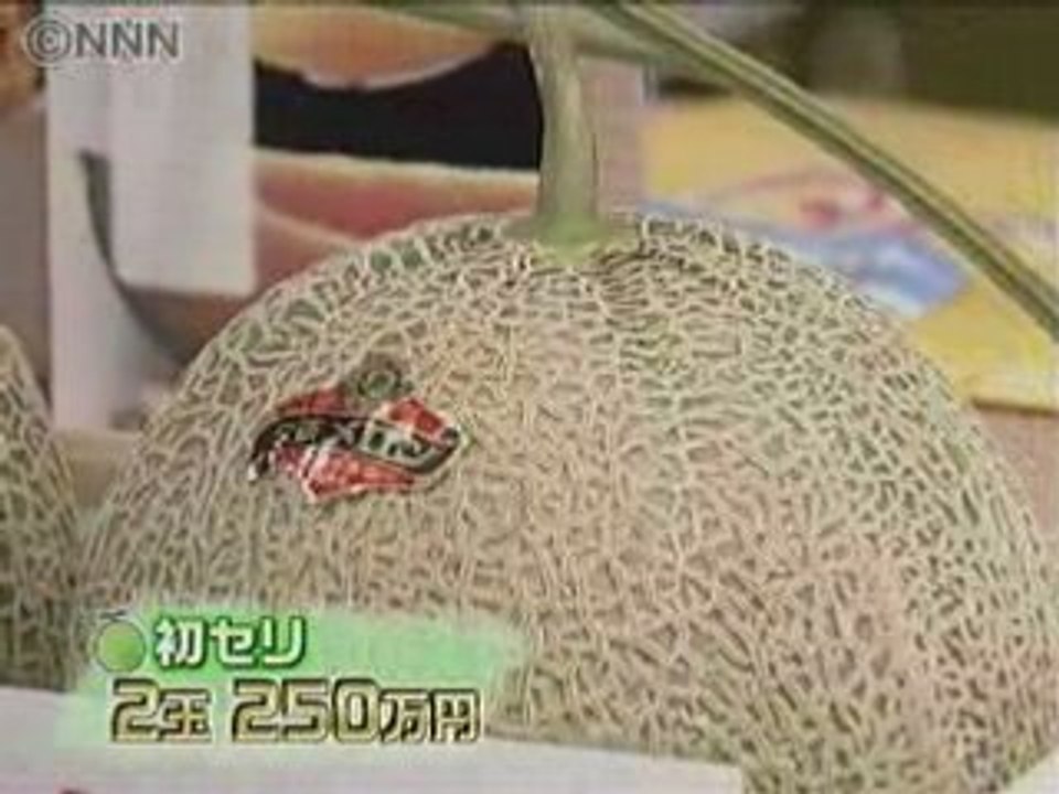 Melon2