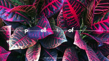 Beautiful Relaxation Music - Spa Piano & Water Sounds for Stress Relief 🌿Peaceful Meditation