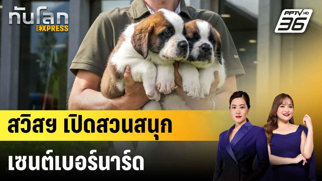 สวิตเซอร์แลนด์เปิดสวนสนุกเซนต์เบอร์นาร์ด  |ทันโ...