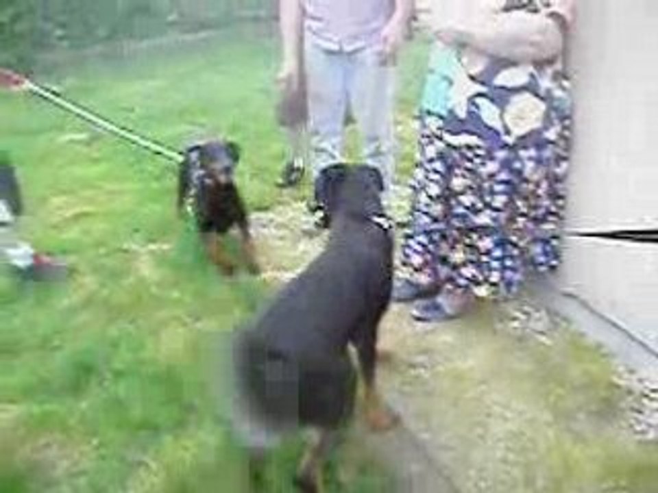 rencontre des monstres