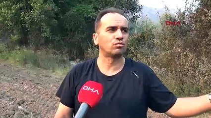 Orman yangınında alevlerin ortasında kalan bir köyümüz kül oldu
