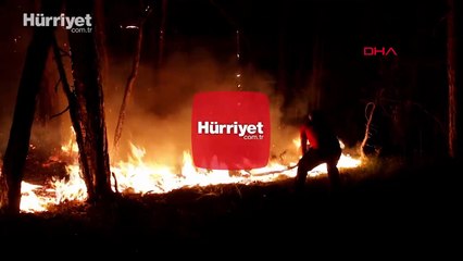 Bolu'da orman yangını 7 saat sonra kontrol altında