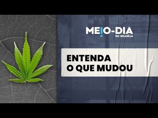 Maconha não foi legalizada; entenda o que mudou com a decisão do STF