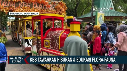 Antusias Warga Tinggi, Kebun Binatang Surabaya Buka 12 Loket Hindari Antrean Libur Panjang