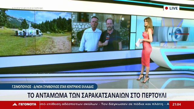 Ο Πρόεδρος Πανελλήνιας Ομοσπονδίας Συλλόγων Σαρακατσαναίων, Γρηγόρης Λέφας στο STAR