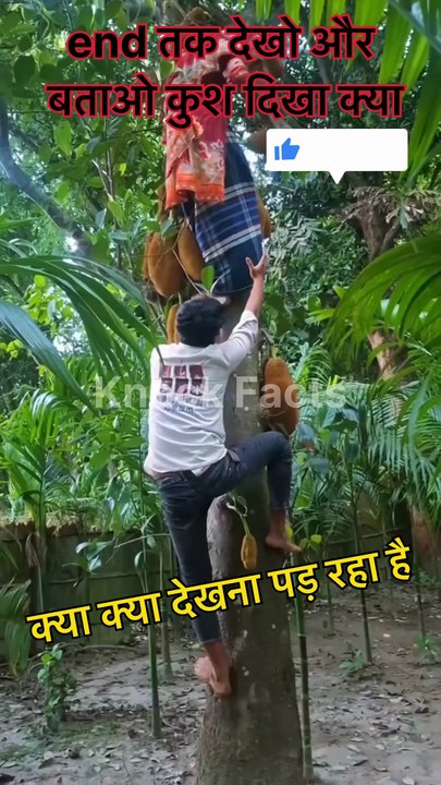 Funny video