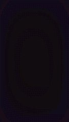 Cacatoès blanc d'Australie