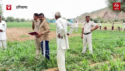 कुत्ते नोंच रहे थे नवजात बच्ची का शव, चरखी दादरी में खेत में मिली बॉडी