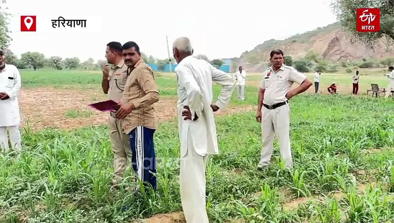 कुत्ते नोंच रहे थे नवजात बच्ची का शव, चरखी दादरी में खेत में मिली बॉडी