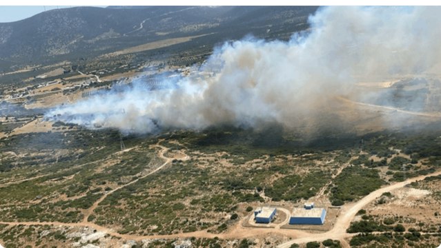 Aydın’da makilik alanda yangın