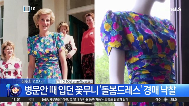 다이애나비 ‘돌봄 드레스’ 7억 원에 경매 낙찰