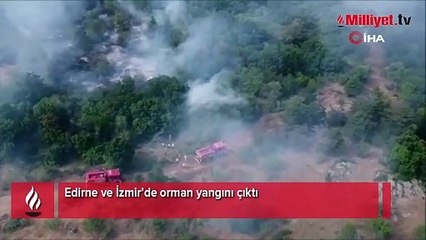 Edirne ve İzmir'de orman yangını