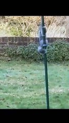 STOP Doing It, Please！| Try NOT To Laugh!😂😂