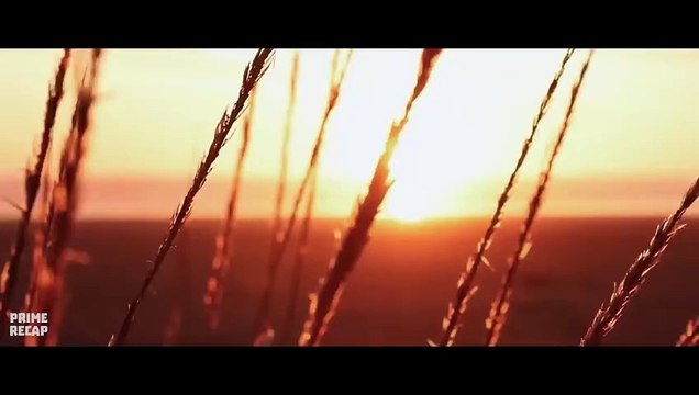 Man tries to find wife among the CREATURES, but the SOIL is CONTAMINATED with an UNKNOWN FUNGUS