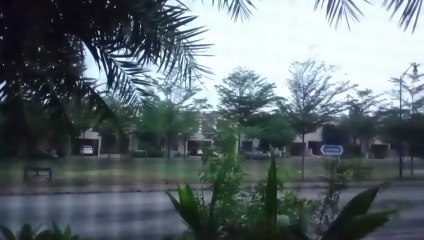 Birds Chirping in the morning is blessing, a true soothing beauty.