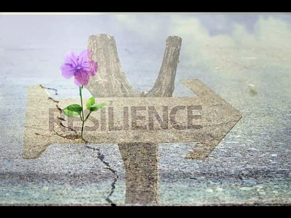 Résilience