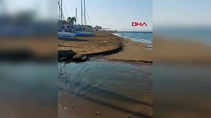 Türkiye'nin dünyaca ünlü tatil merkezinde korkutan manzara: Kıyı şeridi ölü balıklarla kaplandı