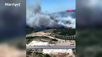 Aydın’da makilik alanda yangın