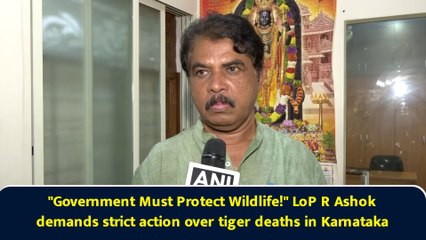 "Government Must Protect Wildlife!" LoP R Ashok demands strict action over tiger deaths in Karnataka