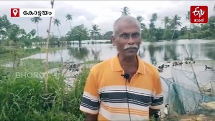 മടവീഴ്ച്ചയും വെള്ളപ്പൊക്കവും;  വിരിപ്പു കൃഷി വൈകുന്നു, കര്‍ഷകര്‍  പ്രതിസന്ധിയില്‍