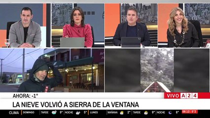 Nieve en Buenos Aires este domingo: todas las ciudades que tendrán nevadas hoy