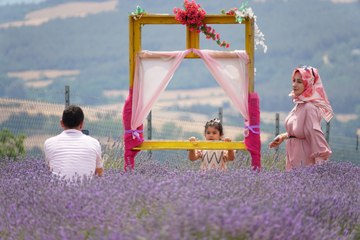 Lavanta mevsimi geldi: Nerede tarla varsa oraya koşuyorlar